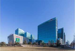 大孢绿僵菌金龟子绿僵菌大孢变种菌种